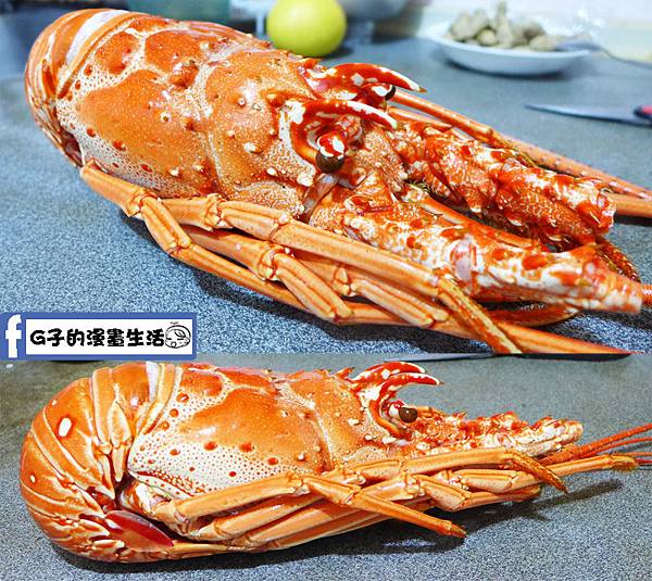 【漁夫鮮撈】24hr線上漁港宅配到你家餐桌~古巴大龍蝦鍋物、野生烏魚子有食譜(年菜圍爐).高雄梓官區漁會直營 @G子的漫畫生活 【漁夫鮮撈】24hr線上漁港宅配到你家餐桌~古巴大龍蝦鍋物、野生烏魚子有食譜(年菜圍爐).高雄梓官區漁會直營 @G子的漫畫生活
