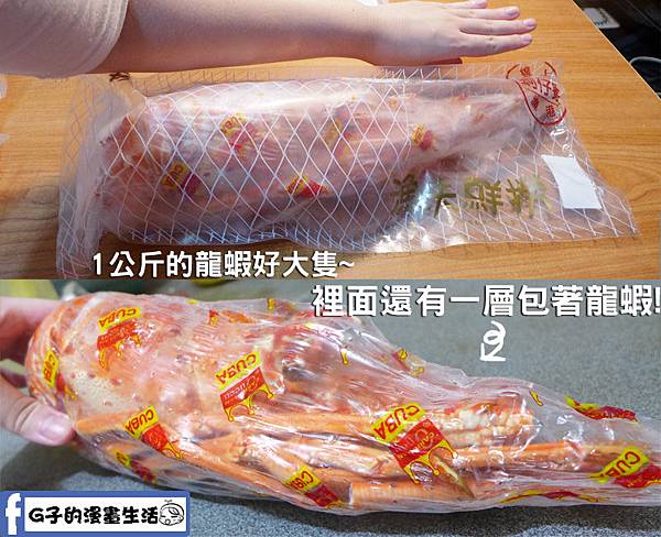 【漁夫鮮撈】24hr線上漁港宅配到你家餐桌~古巴大龍蝦鍋物、野生烏魚子有食譜(年菜圍爐).高雄梓官區漁會直營 @G子的漫畫生活 【漁夫鮮撈】24hr線上漁港宅配到你家餐桌~古巴大龍蝦鍋物、野生烏魚子有食譜(年菜圍爐).高雄梓官區漁會直營 @G子的漫畫生活