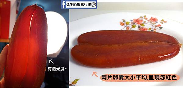 【漁夫鮮撈】24hr線上漁港宅配到你家餐桌~古巴大龍蝦鍋物、野生烏魚子有食譜(年菜圍爐).高雄梓官區漁會直營 @G子的漫畫生活 【漁夫鮮撈】24hr線上漁港宅配到你家餐桌~古巴大龍蝦鍋物、野生烏魚子有食譜(年菜圍爐).高雄梓官區漁會直營 @G子的漫畫生活