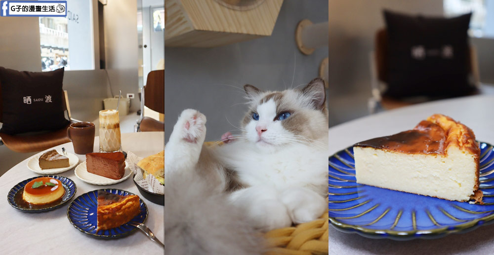 【新店咖啡廳甜點】晒渡咖啡SAIDU,七張站貓咪咖啡廳,布偶貓陪你吃巴斯克乳酪 @G子的漫畫生活