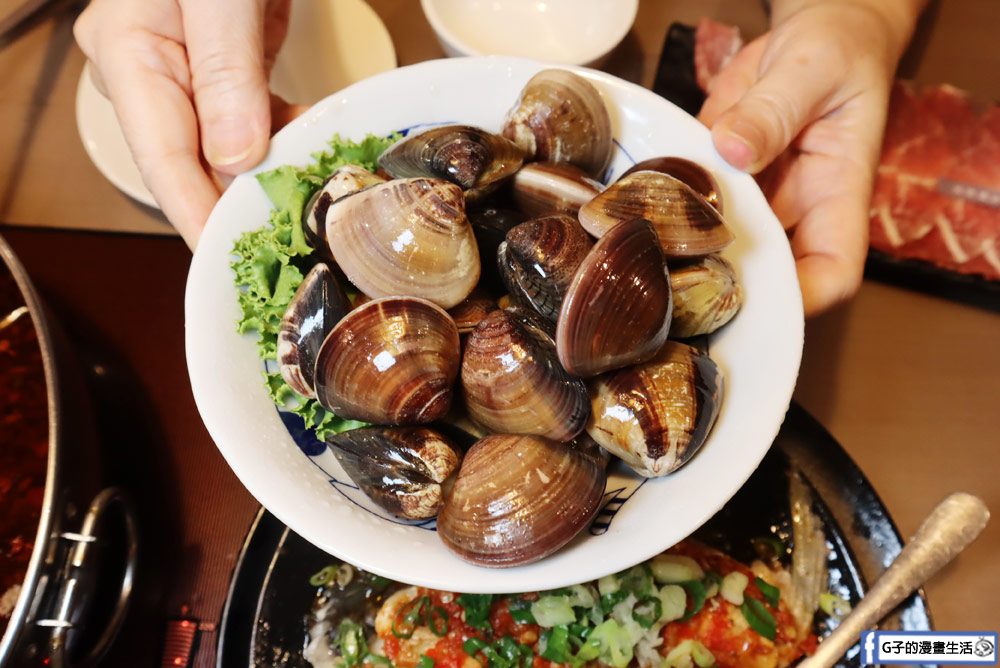 三重美食-麻妃頂極麻辣鴛鴦鍋,吃麻辣鍋也能吃剁椒蒸魚,壽星禮蛤蜊大放送,近菜寮站 @G子的漫畫生活