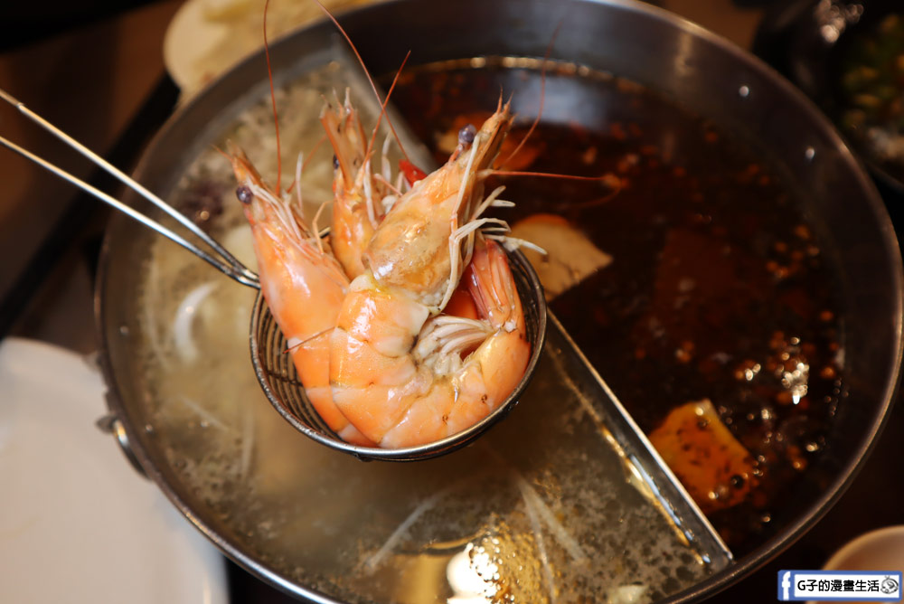 三重美食-麻妃頂極麻辣鴛鴦鍋,吃麻辣鍋也能吃剁椒蒸魚,壽星禮蛤蜊大放送,近菜寮站 @G子的漫畫生活