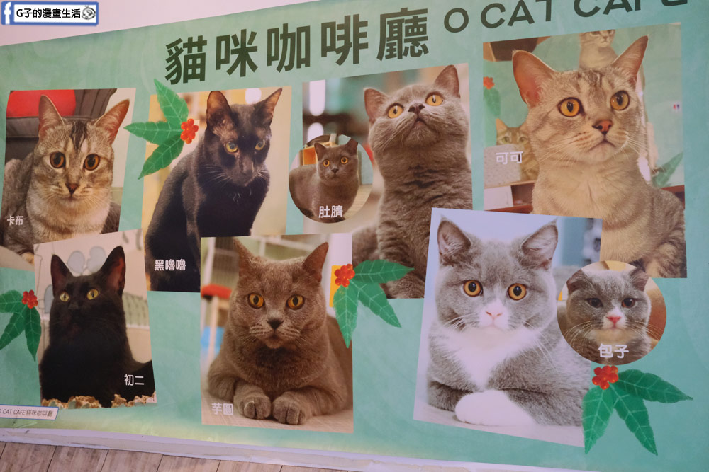 三重貓咪咖啡廳-O CAT CAF&Eacute; ,餐點好吃,超多貓咪還有店狗,菜寮站 @G子的漫畫生活