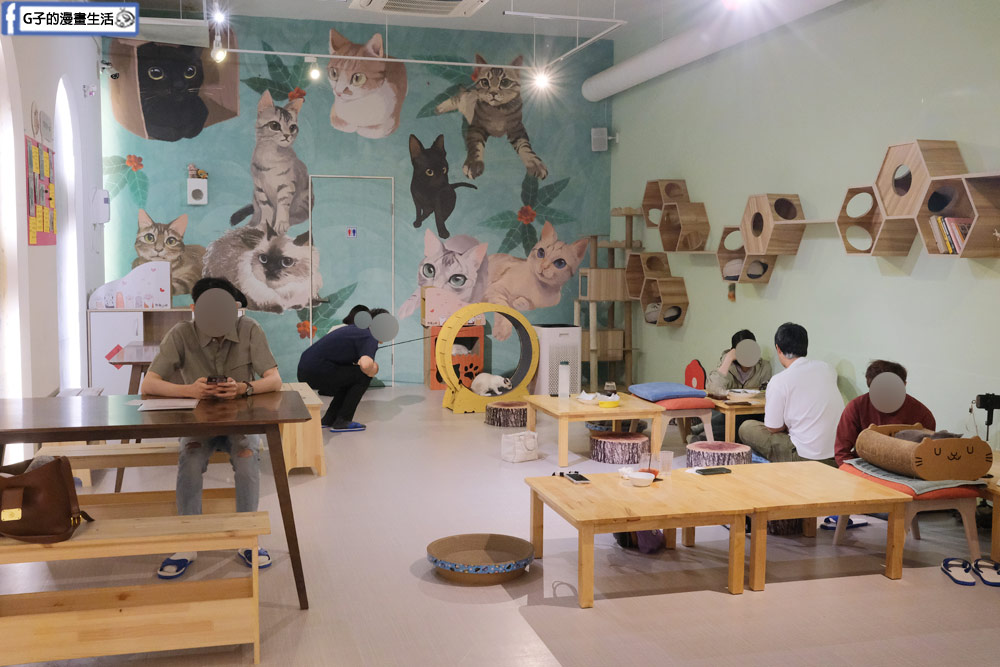 三重貓咪咖啡廳-O CAT CAF&Eacute; ,餐點好吃,超多貓咪還有店狗,菜寮站 @G子的漫畫生活
