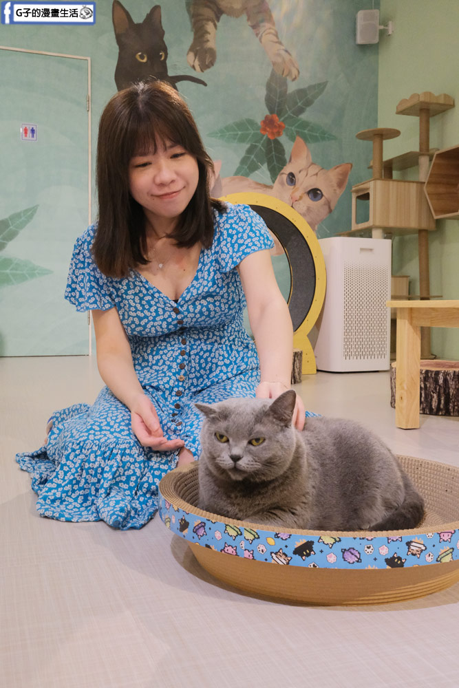三重貓咪咖啡廳-O CAT CAF&Eacute; ,餐點好吃,超多貓咪還有店狗,菜寮站 @G子的漫畫生活