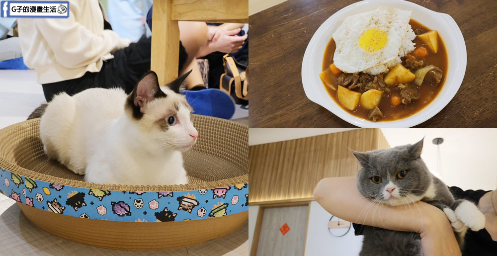 三重貓咪咖啡廳-O CAT CAF&Eacute; ,餐點好吃,超多貓咪還有店狗,菜寮站 @G子的漫畫生活