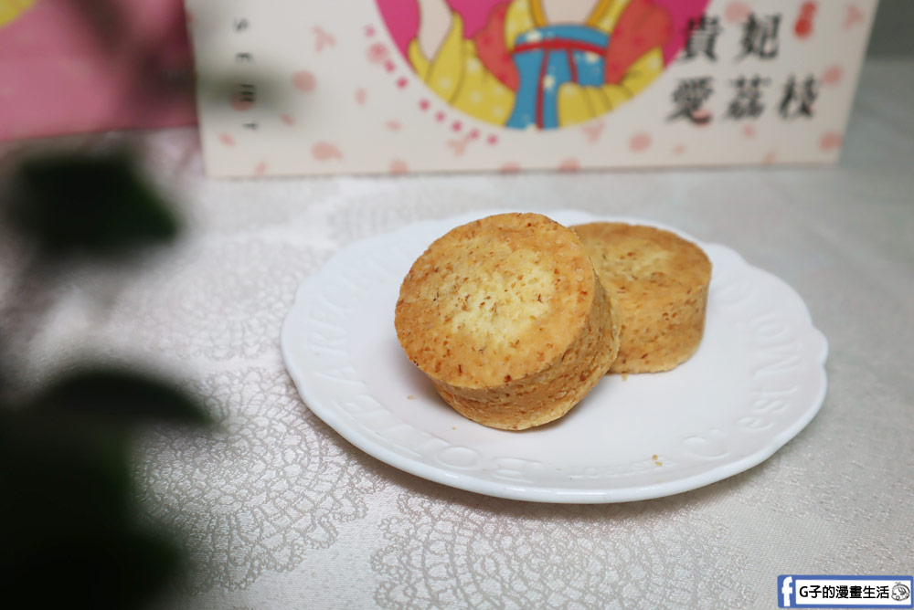 2025過年禮盒推薦-胖肉鋪肉鬆餅X鳳荔酥,Ptt & Dcard網友都愛的伴手禮~ @G子的漫畫生活