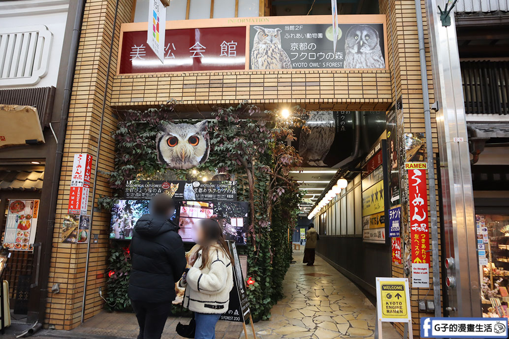 京都貓頭鷹之森+豹貓之森-近距離接觸貓頭鷹和豹貓,京都景點 @G子的漫畫生活 京都貓頭鷹之森+豹貓之森-近距離接觸貓頭鷹和豹貓,京都景點 @G子的漫畫生活