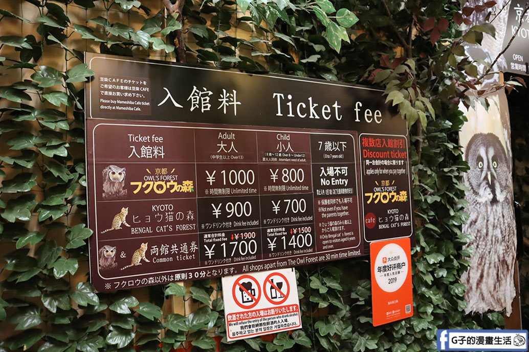 京都貓頭鷹之森+豹貓之森-近距離接觸貓頭鷹和豹貓,京都景點 @G子的漫畫生活 京都貓頭鷹之森+豹貓之森-近距離接觸貓頭鷹和豹貓,京都景點 @G子的漫畫生活