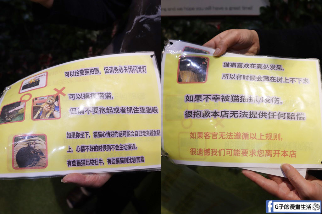 京都貓頭鷹之森+豹貓之森-近距離接觸貓頭鷹和豹貓,京都景點 @G子的漫畫生活 京都貓頭鷹之森+豹貓之森-近距離接觸貓頭鷹和豹貓,京都景點 @G子的漫畫生活