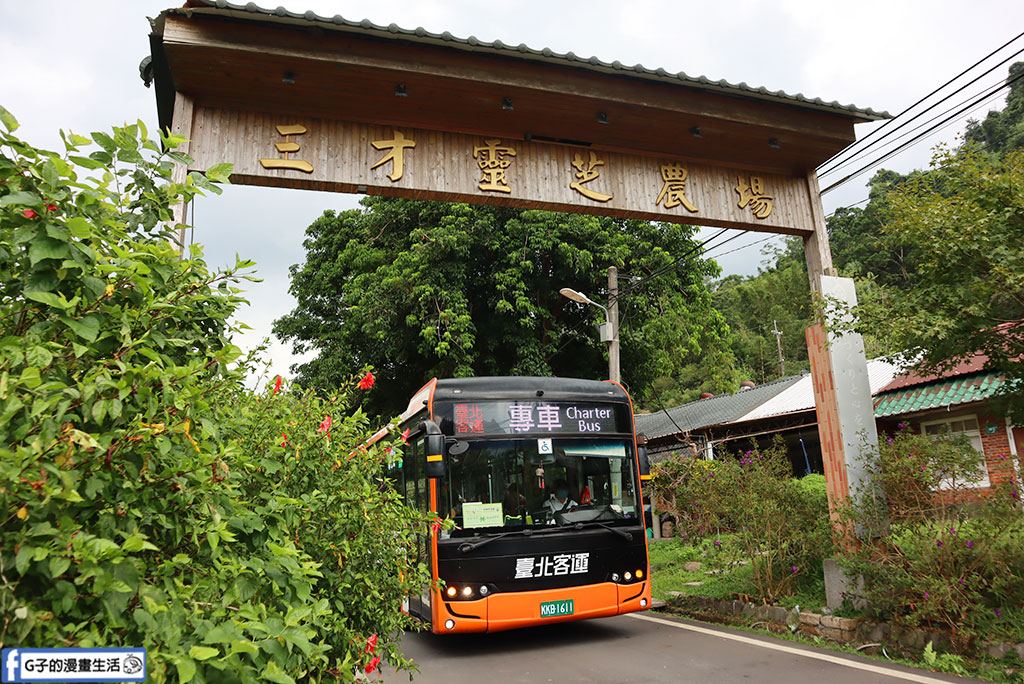 台灣好行木柵平溪線795公車一日遊|暢遊套票玩遍深坑老街、平溪放天燈、十分瀑布 @G子的漫畫生活 台灣好行木柵平溪線795公車一日遊|暢遊套票玩遍深坑老街、平溪放天燈、十分瀑布 @G子的漫畫生活