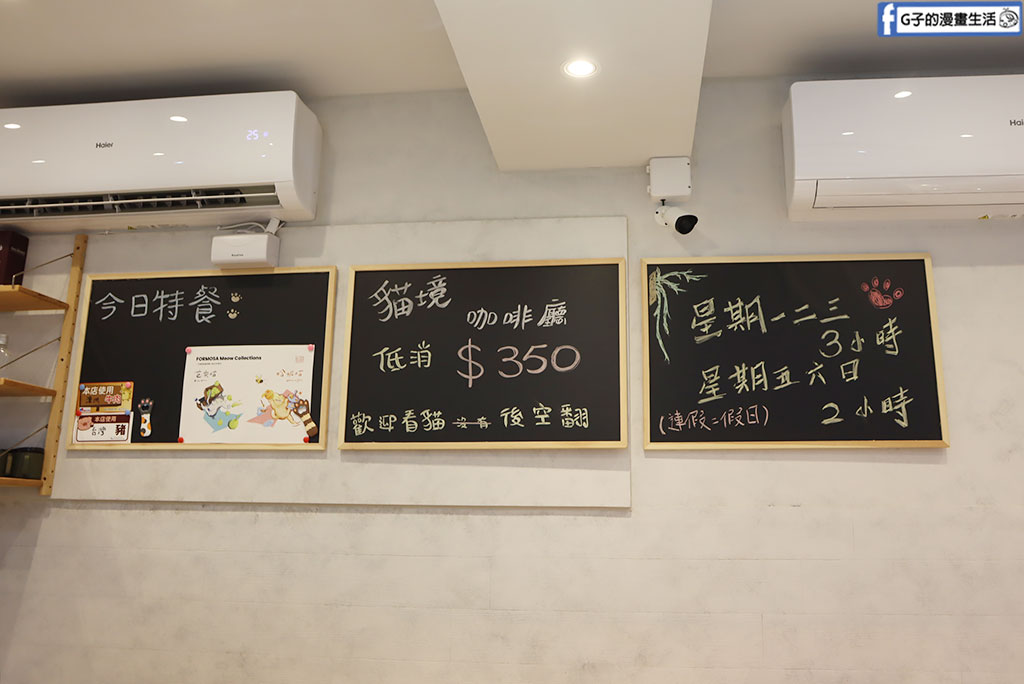 永和貓咪咖啡廳推薦｜貓境：21隻挪威森林貓包圍的天堂，還有爬蟲類、挖土機可以玩 @G子的漫畫生活