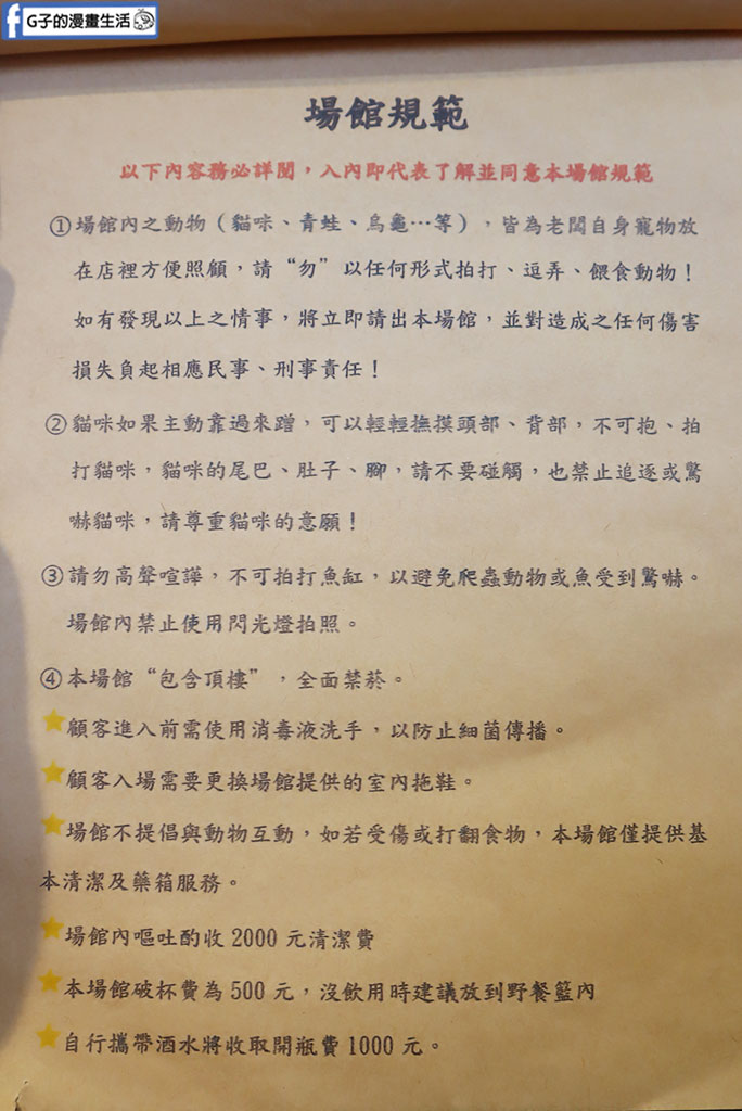永和貓咪咖啡廳推薦｜貓境：21隻挪威森林貓包圍的天堂，還有爬蟲類、挖土機可以玩 @G子的漫畫生活