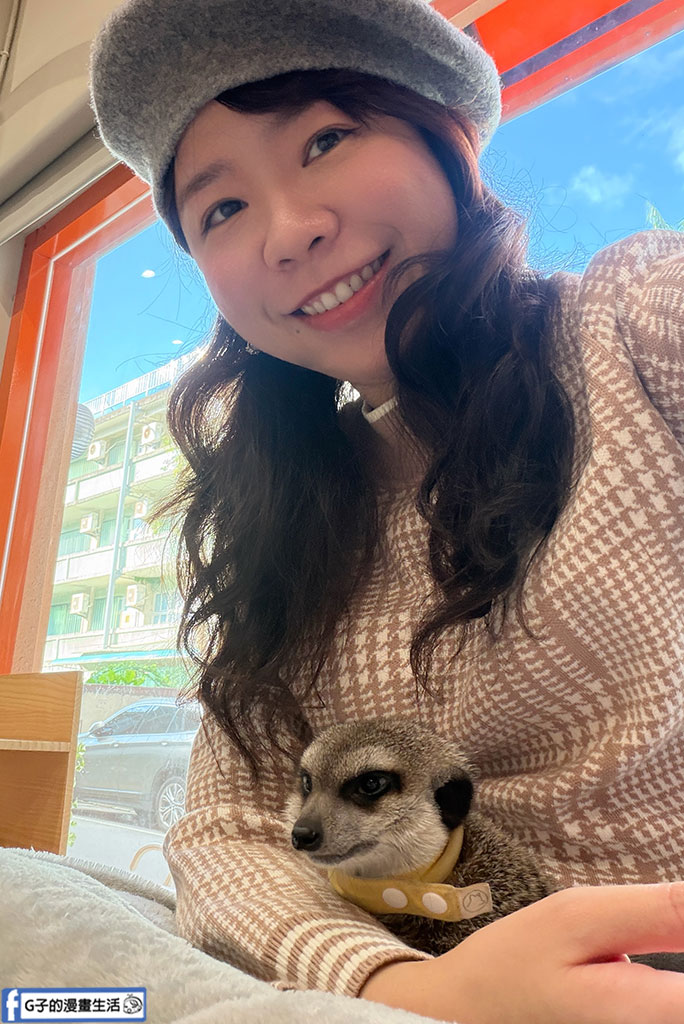 台北狐獴餐廳｜75度獴敦南旗艦店:近距離與丁滿互動!捷運信義安和站美食,訂位/菜單/心得全攻略 @G子的漫畫生活