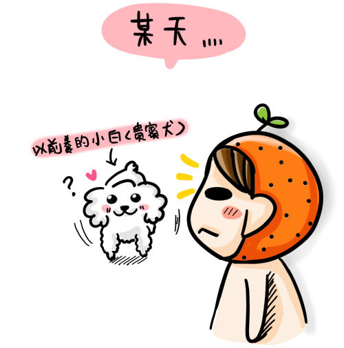 G子漫畫-沙發的過去(真狗真事) @G子的漫畫生活
