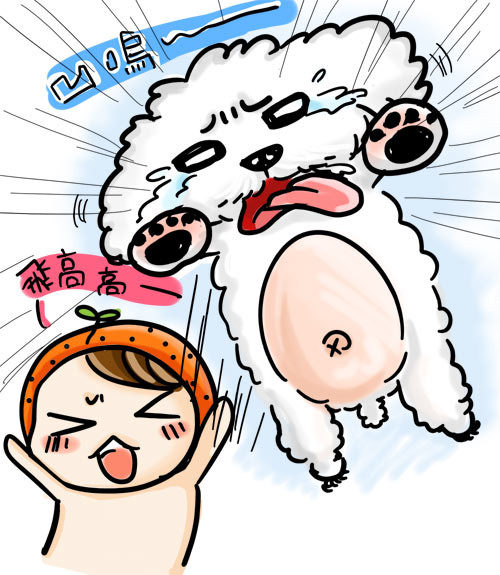 G子漫畫-沙發的過去(真狗真事) @G子的漫畫生活