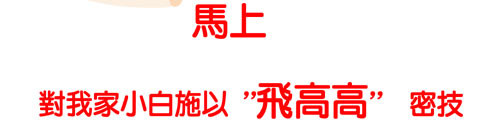 G子漫畫-沙發的過去(真狗真事) @G子的漫畫生活