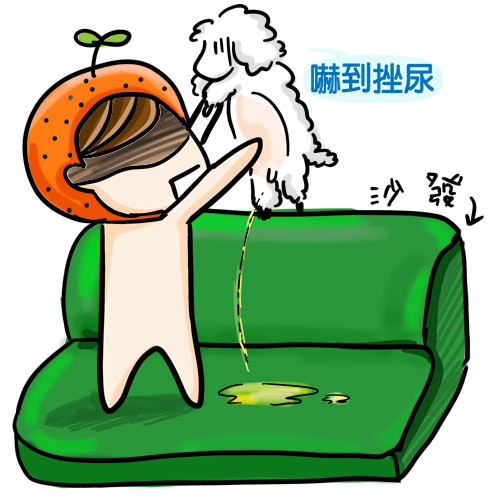 G子漫畫-沙發的過去(真狗真事) @G子的漫畫生活