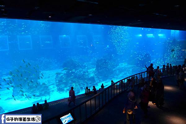 新加坡遊記-全球最大的S.E.A海洋館.巨型魚尾獅塔.時光之翼(原海之頌)自助行第三天-聖淘沙島 @G子的漫畫生活