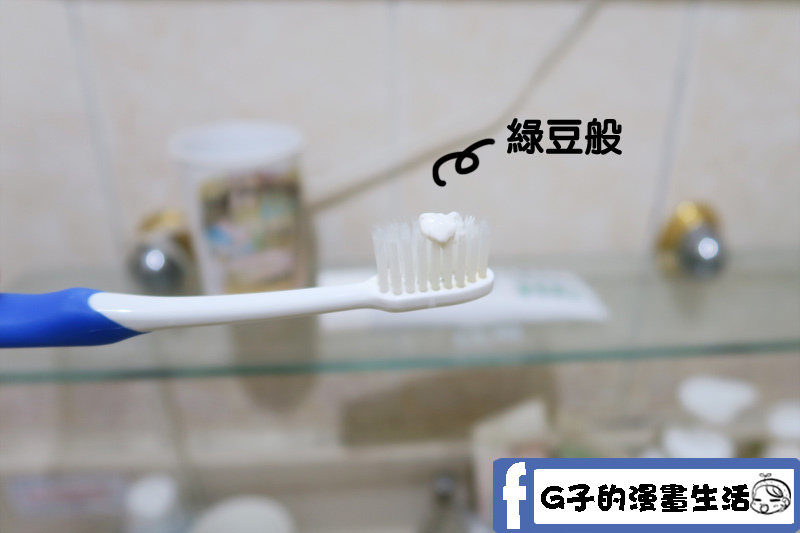 刷牙好口氣用量超省-ANYA安雅草本牙膏開箱心得,奇妙的牙膏風味 @G子的漫畫生活