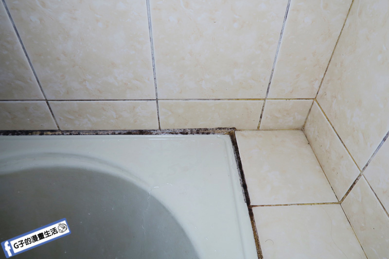 浴室陳年黑黑黴菌掰掰~AIMEDIA艾美迪雅 浴室專用強力去黴凝膠-日本生活小物開箱 @G子的漫畫生活