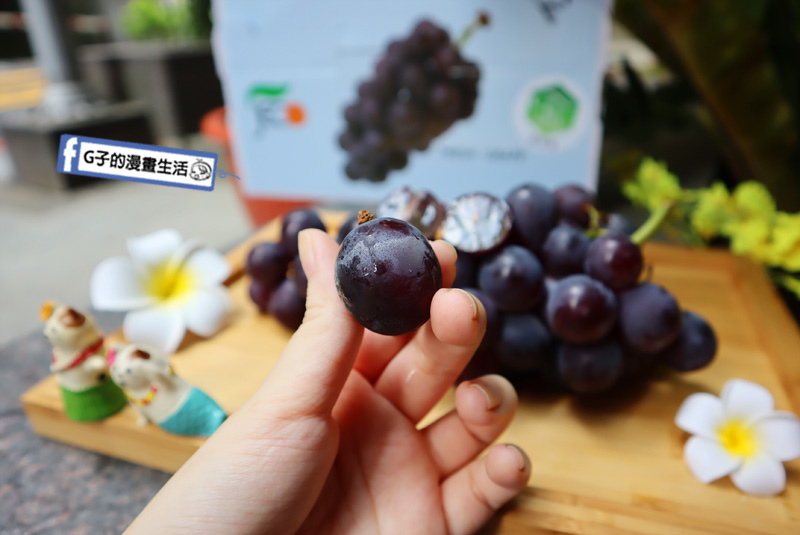 宅配水果-菓寶食-卓蘭輸日巨峰葡萄,外銷日本等級香甜多汁好吃 @G子的漫畫生活