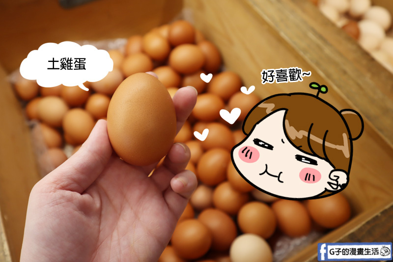 台北萬華-協興蛋業-70年雞蛋行推薦,在地人都來這買好蛋,雞蛋禮盒 @G子的漫畫生活