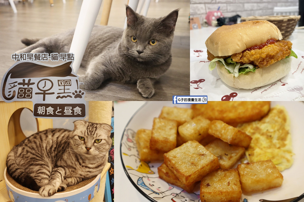 貓早點-中和早午餐推薦,免去貓咪咖啡廳,有貓咪的早餐店! @G子的漫畫生活